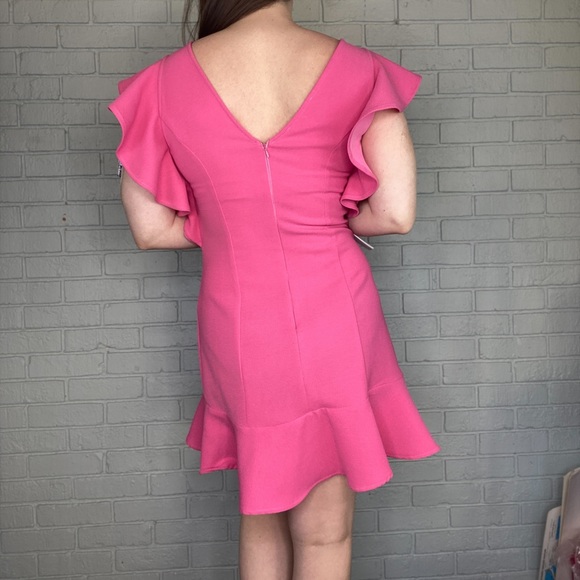Harper Wren Lohan Dress Pink Ruffle Dress Size Large NEW with Tags - Picture 5 of 12